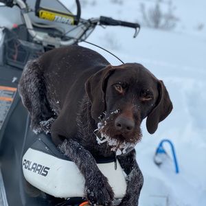 Meet your Posher, Corey